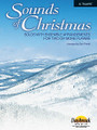 Sounds of Christmas (Solos with Ensemble Arrangements for Two or More Players). Arranged by Stan Pethel. For Trumpet (Trumpet). Sacred. 21 pages. Published by Daybreak Music.

This release from the “Sounds of Series” is indispensible to fill plenty of solo and ensemble needs! Whether it's a soloist using a book (accompanied by piano or fully-orchestrated accompaniment track) or two, three, four players...or a full orchestra, Sound of Christmas is a uniquely flexible idea for church instrumentalists! Each book includes a solo line and an ensemble line. Mix and match lines with different instruments and combinations of players.