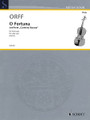O Fortuna from Carmina Burana (Viola Solo). By Carl Orff (1895-1982). Arranged by AdriÃ¡n Varela. For Viola. String Solo. Softcover. 8 pages. Schott Music #VAB80. Published by Schott Music.

This virtuosic arrangement of the world-famous movement from 'Carmina Burana' is suitable both as an effective encore and competition piece. Printed with two versions, it is designed as a study in thirds or in tenths.