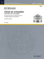 Christ the Lord Is Risen Again! (10 Chorale Preludes for Lent and Easter). By Wolfgang Rubsam. For Organ. Schott. Softcover. 36 pages. Schott Music #ED21644. Published by Schott Music.

Contents: Ah, Holy Jesus • O Sacred Head, Sore Wounded - At the Last Supper • O Man, Thy Grievous Sin Bemoan • O Sorrow Deep! • Good Christians All, Rejoice and Sing! • Christ the Lord is risen again! • Christ Jesus Lay in Death's Strong Bonds • Here Shining is the Splendid Day • Rejoice Now All Christians.