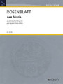 Ave Maria (Soprano (Tenor) and Piano). By Alexander Rosenblatt. For Tenor, Soprano, Piano Accompaniment. Vocal. Softcover. Schott Music #ED21416. Published by Schott Music.