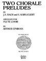 Marche Miniature (Woodwind Solos & Ensemble/Flute - Larger Ensemble). By Tchaikovsky, Peter Ilyich. Arranged by Arthur Ephross. Flute. Woodwind Solos & Ensembles - Flute - Larger Ensemble. Southern Music. Grade 3. Southern Music Company #ST81SC. Published by Southern Music Company.