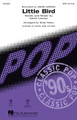 Little Bird by Annie Lennox. By Annie Lennox. Arranged by Kirby Shaw. For Choral (SATB). Pop Choral Series. Octavo. 12 pages.

Originally recorded by Annie Lennox, your pop, show or vocal jazz group will rock out in this fresh setting! Hot horns complete the picture! Available separately: SATB, SAB, SSA, ShowTrax CD. Combo parts available digitally (tpt 1, tpt 2, tsx, tbn, gtr, b, dm).

Minimum order 6 copies.