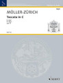 Toccata Op. 120 (Organ). Composed by Paul Müller-Zürich and Paul M. For Organ. Schott. 11 pages. Schott Music #ED2116. Published by Schott Music.