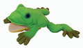 Freddie the Frog Teacher's Puppet