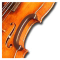 C-Clip, Violin C-Bout Protector, 4/4