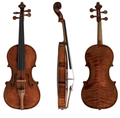 GEWA Violin, Soloist Violin Master, Le Streghe, 4/4, Strad Model, Setup