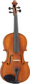 Blemished Franz Hoffmann Danube Viola