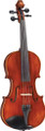 Blemished Franz Hoffmann Etude Viola