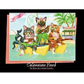 Catamaran Band (Poster)