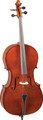 Pre-Owned Franz Hoffmann Danube Cello