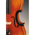 CCV - C-Clip Protector for Violin