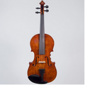Realist Pro Violin 4-String- Frantique