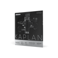 Kaplan Vivo Violin E