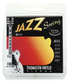 JS25 - Jazz Swing Flatwound Guitar D
