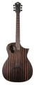 Forte Exotic JE Java Ebony Acoustic Guitar Michael Kelly Guitars Guitars