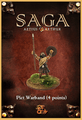 SAGA4-37   Picts Warband 
