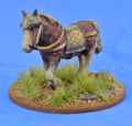 SAGAS-20  Riding Pony