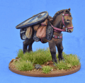 SAGA-489  Pack Pony w Shield 