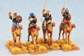 SAGAC-29 Mutataww'a Fanatic's on Camels Heathguard