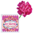 EEBOO - CREPE PAPER FLOWERS - CORDELIA