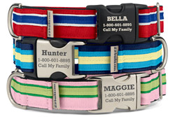 Personalized Original Stripe Dog Collars Personalized Original Stripe Dog Collars