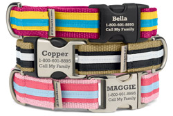 Personalized Original Stripe Dog Collars Personalized Original Stripe Dog Collars