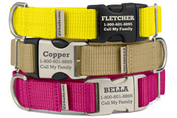 Personalized Original Stripe Dog Collars Personalized Original Stripe Dog Collars