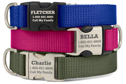 Personalized Original Stripe Dog Collars Personalized Original Stripe Dog Collars