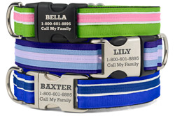Personalized Original Stripe Dog Collars Personalized Original Stripe Dog Collars