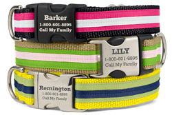 Personalized Original Stripe Dog Collars Personalized Original Stripe Dog Collars