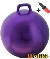 Hoppity Hop Ball Adult Size (plain purple)