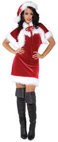 Merry Holiday Adult Costume