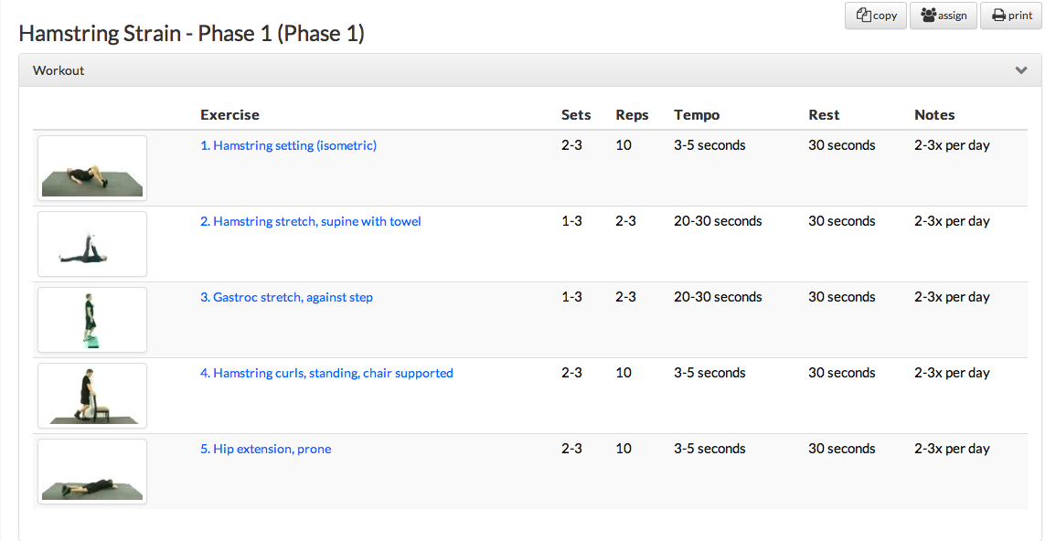 Hamstring Strain Rehab Protocol GaelicPerformance Store