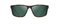 waypoint matte tortoise sunglasses front view