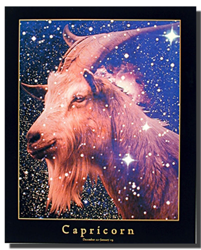 Capricorn Sign Poster | Astrology Posters | Zodiac Posters