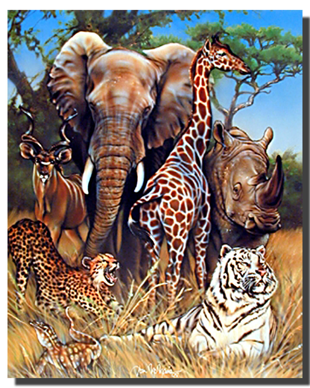 Exotic Wildlife Poster Animal Posters Exotic Wildlife Poster Animal Posters
