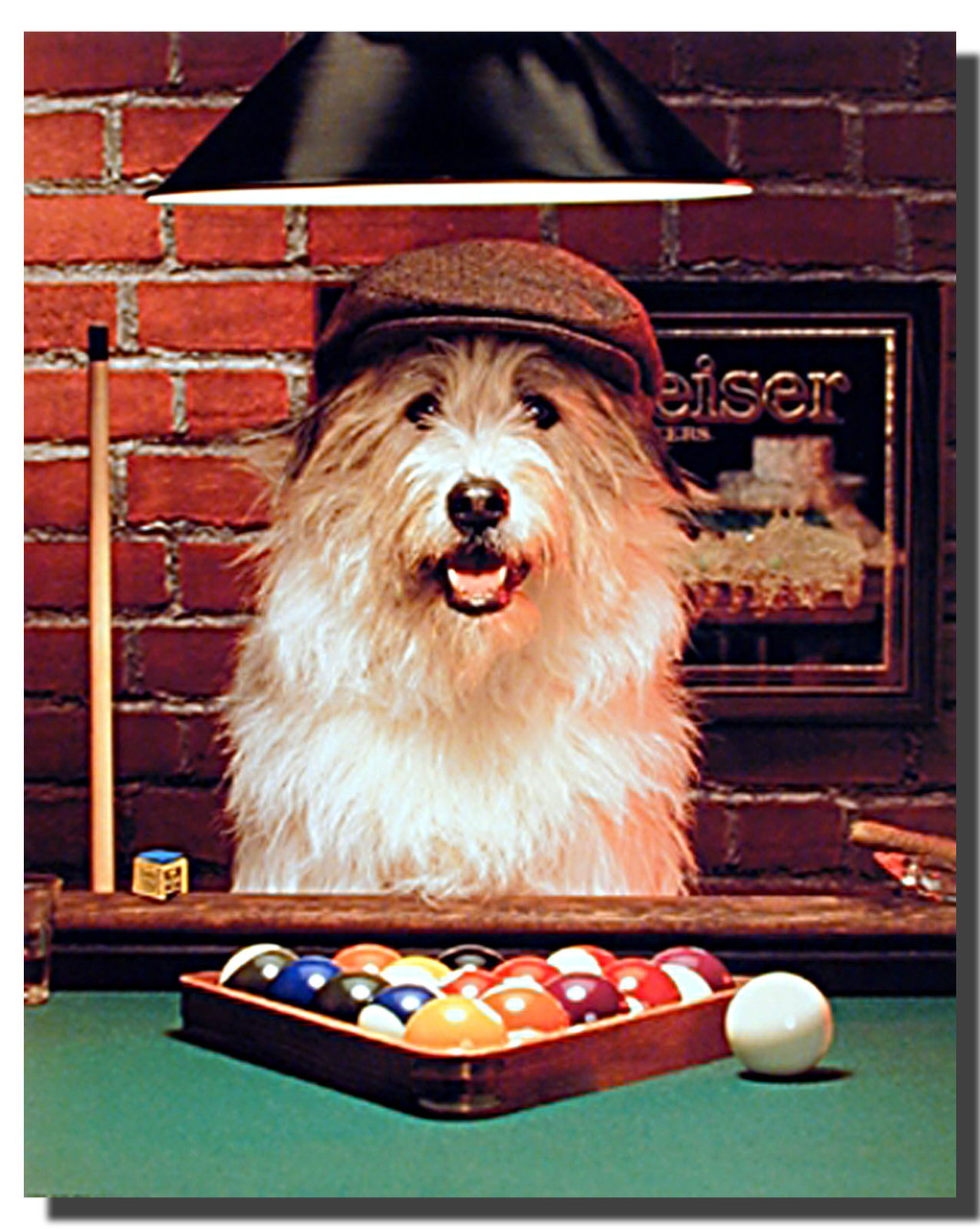 Dog Poster - Pool | Animal Posters | Dog Posters
