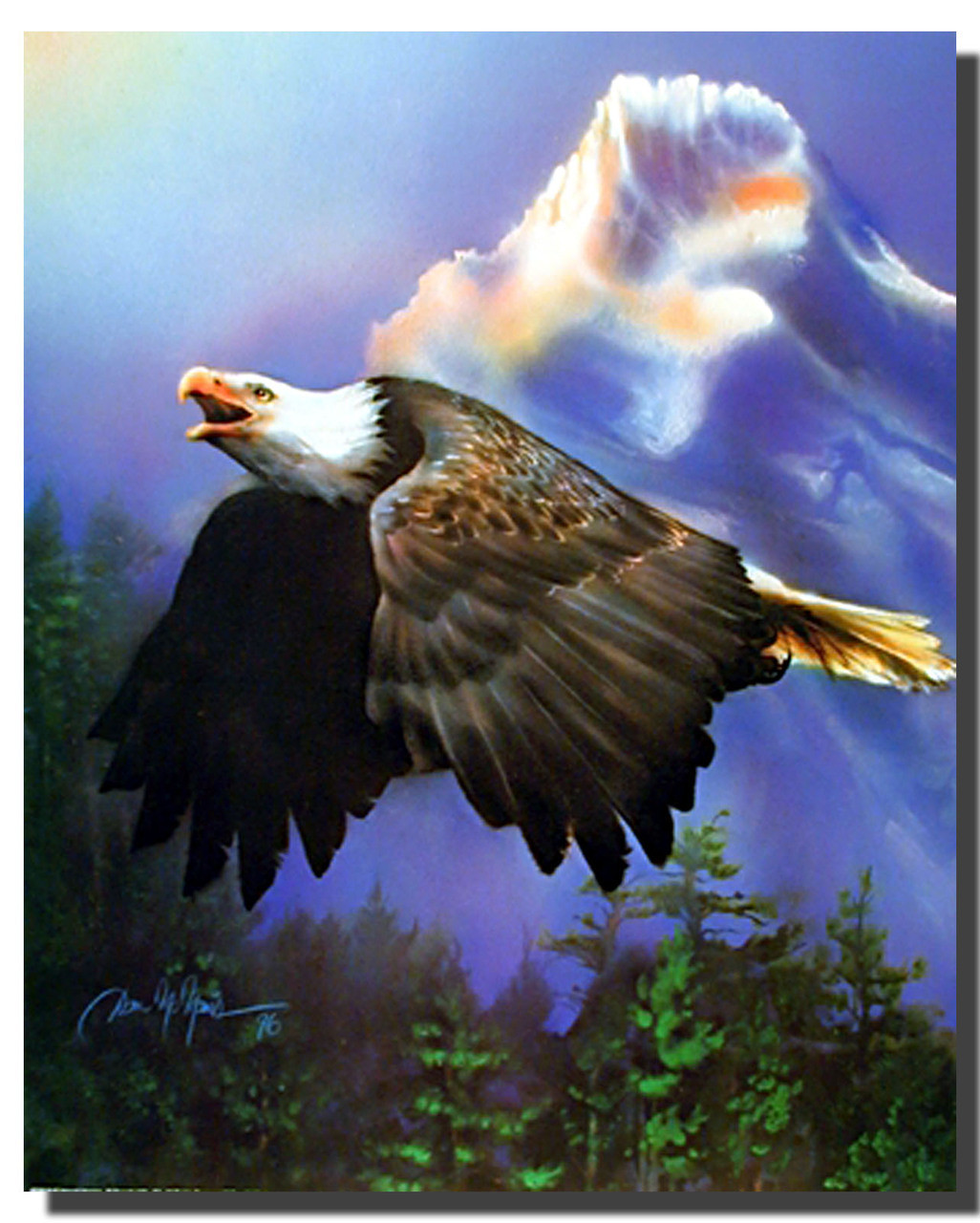 Bald Eagle Picture | Animal Posters | Bird Posters