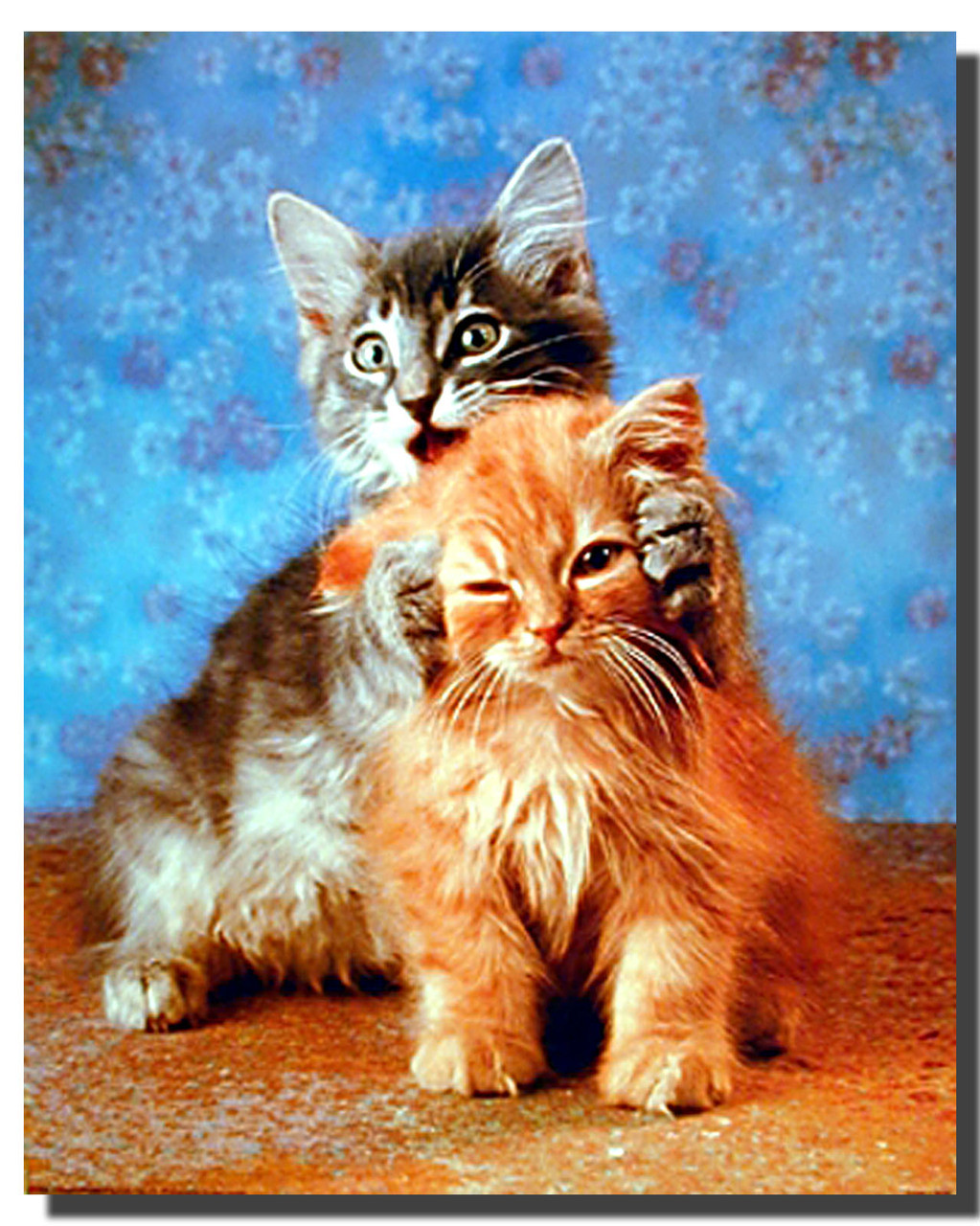 Cat Poster Hear No Evil Animal Posters Cat Posters Cat Poster Hear No Evil Animal Posters Cat Posters