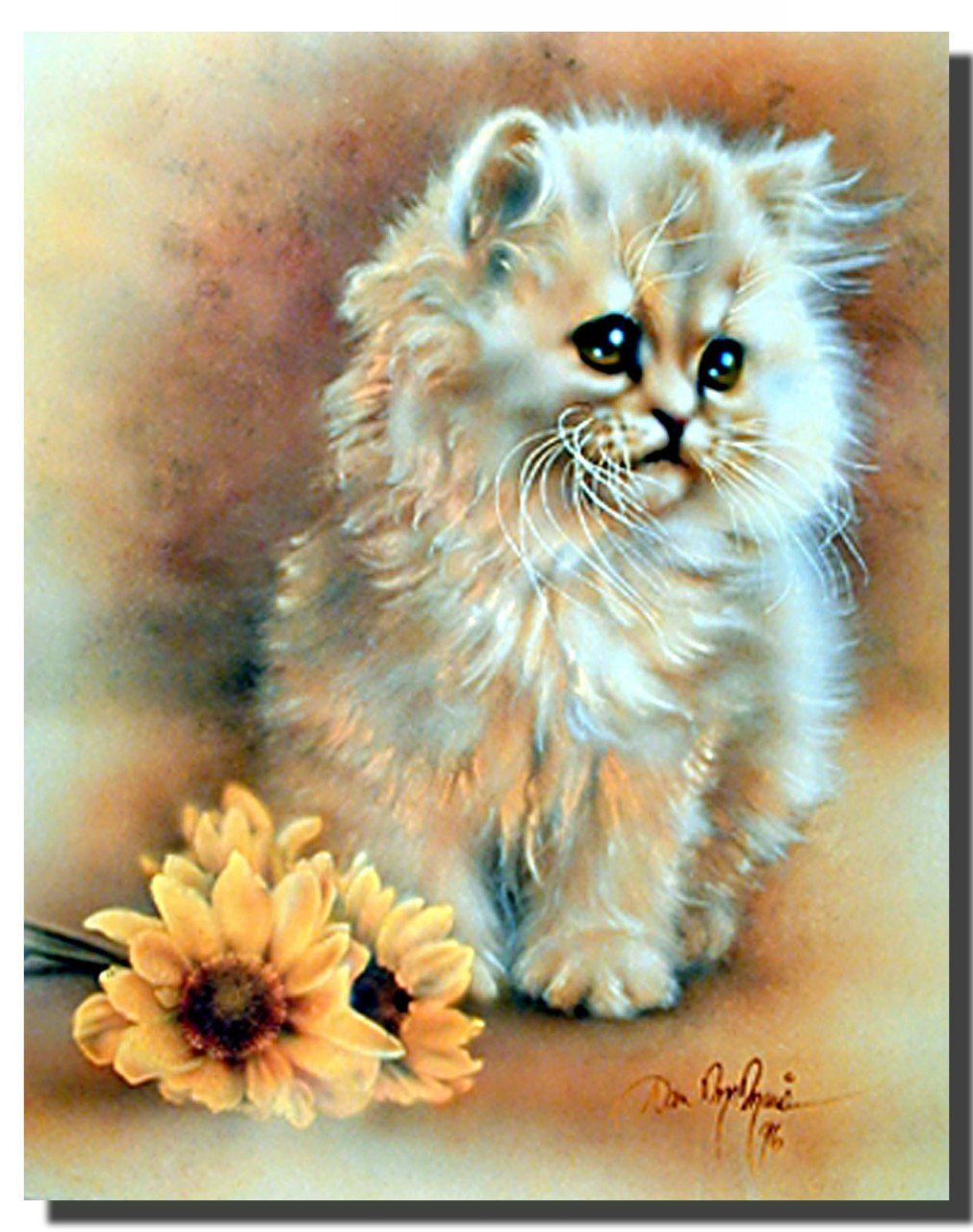 Green Eyed Fluffy Cat Poster Animal Posters Cat Posters Green Eyed Fluffy Cat Poster Animal Posters Cat Posters