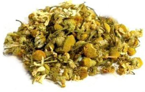 What is Chamomile?
