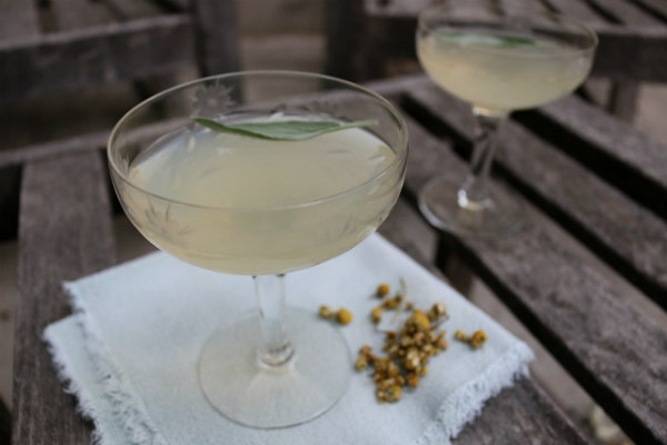 Fifth Element Cocktail Fifth Element Cocktail