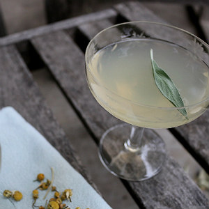 Fifth Element Cocktail Recipe Fifth Element Cocktail Recipe