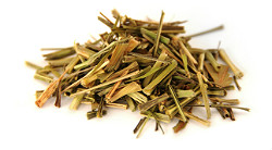 lemon-looseleafnews.jpg lemon-looseleafnews.jpg