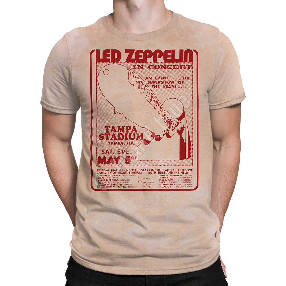 led zeppelin graphic tee