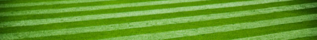 striped-lawn2.jpg