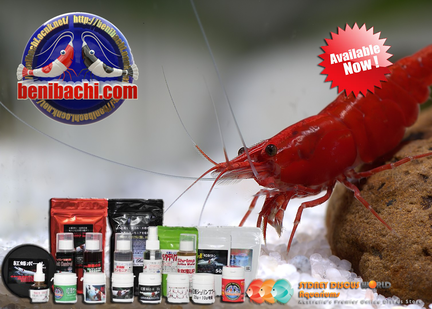 Aquarium Supplies Online Superstore AustraliaBuy Fish TankFast Delivery