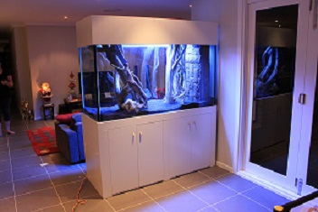 Custom Built Aquariums Sydney, Australia|Custom Fish Tanks Sydney ...