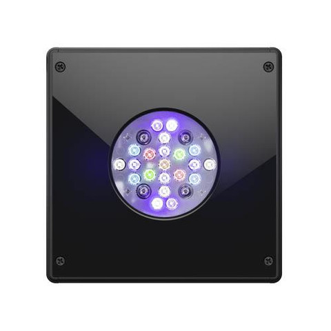 ecotech marine radion led
