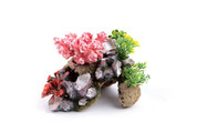 Coral W /Rock & Plants Small